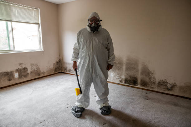 Asbestos and Lead Testing During Mold Inspection in Hastings On Hudson, NY